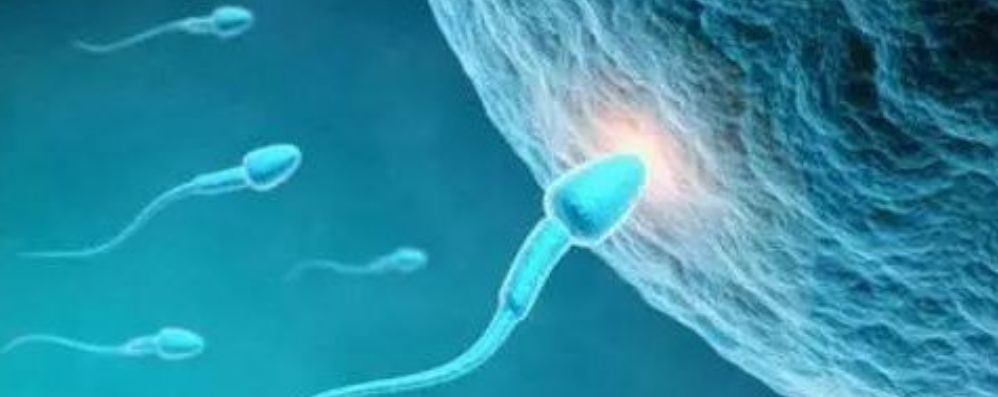供卵试管婴儿胚胎移植后不着床的10个原因