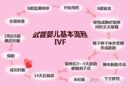 格鲁吉亚借卵供卵试管婴儿的成功案例