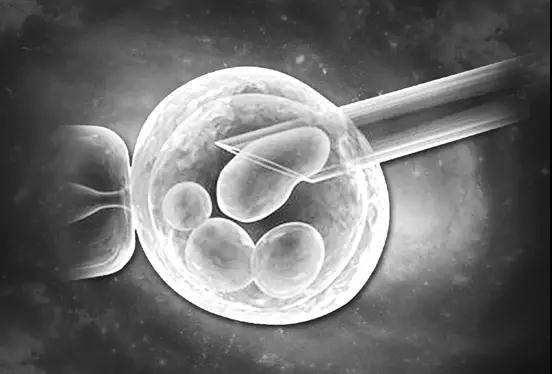 49岁的小卵泡能做借卵代生试管供卵吗-小卵泡能做借卵供卵代生医院吗？