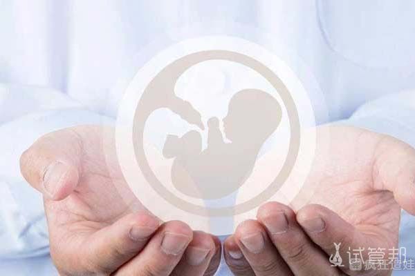 三代供卵试管婴儿胚胎活检时间