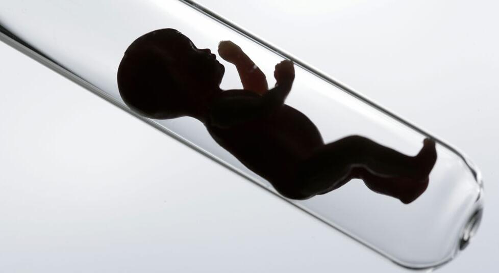 北京胚胎试管代怀协议多少钱啊？