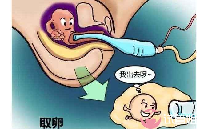 北京市供卵三代试管代怀成功率医院排名